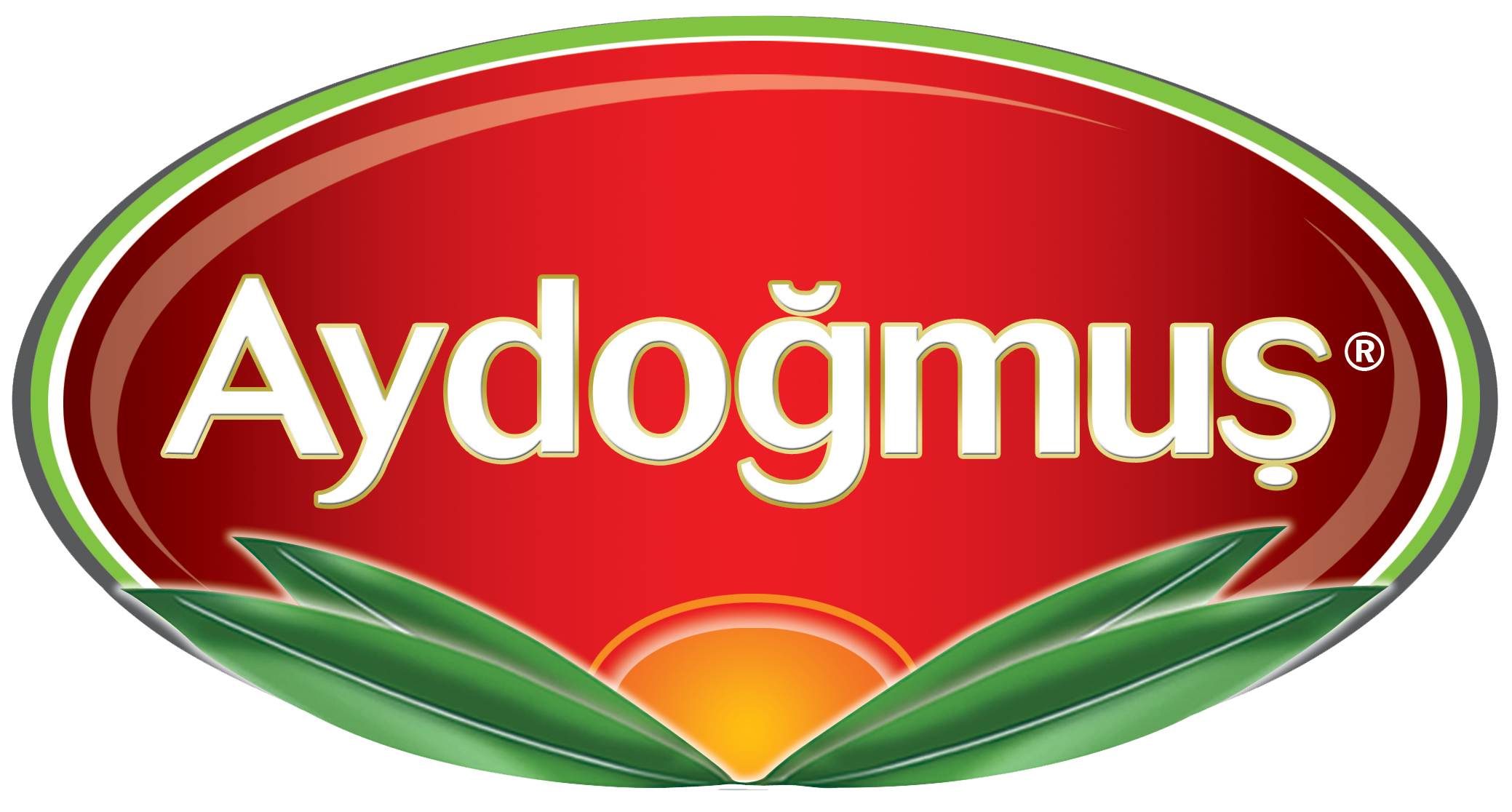 Aydoğmuş Zeytinleri