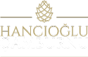 Hancıoğlu Çamburnu Otelleri